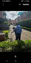 26 de agosto día mundial contra el dengue