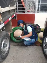 26 de agosto día mundial contra el dengue