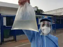 26 de agosto día mundial contra el dengue