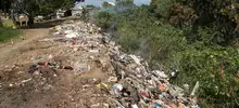 Huertas y árboles para cambiar la cara de Villa Blanca en la comuna 13