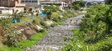 Huertas y árboles para cambiar la cara de Villa Blanca en la comuna 13
