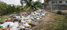 Huertas y árboles para cambiar la cara de Villa Blanca en la comuna 13