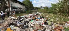 Huertas y árboles para cambiar la cara de Villa Blanca en la comuna 13