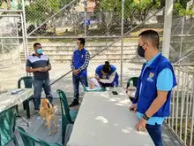 Altos de Normandía se alista para transformar espacios con arte urbano