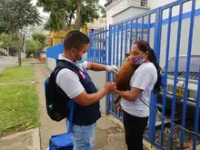 Animales de compañía pueden ser vacunados contra la rabia gratuitamente  