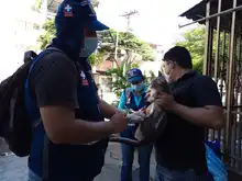 Animales de compañía pueden ser vacunados contra la rabia gratuitamente  