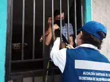 Animales de compañía pueden ser vacunados contra la rabia gratuitamente  