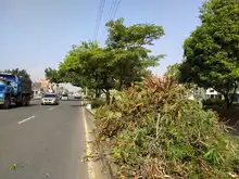 Comprometidos con el embellecimiento de la Autopista Suroriental