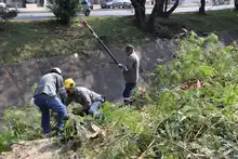 Comprometidos con el embellecimiento de la Autopista Suroriental