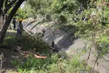 Comprometidos con el embellecimiento de la Autopista Suroriental