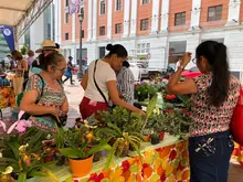 Tiendas campesinas y plazas de mercado serán zonas seguras para abastecerse