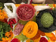 Tiendas campesinas y plazas de mercado serán zonas seguras para abastecerse