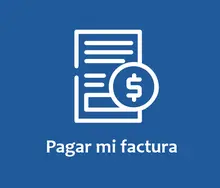 Pagar mi factura 