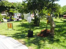 Arrancó compensación arbórea en el parque El Búho 