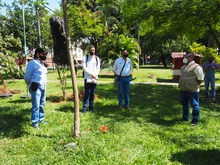 Arrancó compensación arbórea en el parque El Búho 