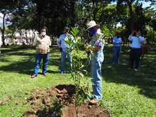 Arrancó compensación arbórea en el parque El Búho 