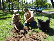 Arrancó compensación arbórea en el parque El Búho 