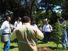 Arrancó compensación arbórea en el parque El Búho 
