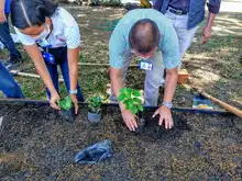 La Comuna 6 de Cali se unió al proyecto Huertas por la Vida