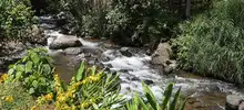 Villacarmelo  es el cuarto corregimiento más grande de Cali y el menos poblado