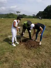 Con adopción de zonas verdes y siembra masiva, Dagma celebró el Día Nacional de la Biodiversidad