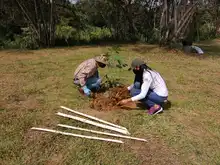Con adopción de zonas verdes y siembra masiva, Dagma celebró el Día Nacional de la Biodiversidad