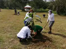 Con adopción de zonas verdes y siembra masiva, Dagma celebró el Día Nacional de la Biodiversidad