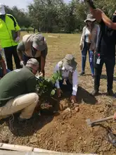 Con adopción de zonas verdes y siembra masiva, Dagma celebró el Día Nacional de la Biodiversidad
