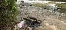 Dagma socializó procesos de conservación en el corazón de Pance