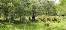 Dagma socializó procesos de conservación en el corazón de Pance