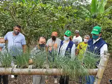 En el corregimiento de Navarro iniciará el proyecto movilizador ‘Viviendas Productivas Rurales Sostenibles’ 