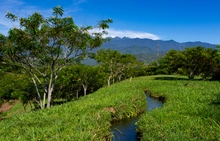 Farallones de Cali