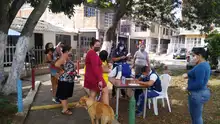 Continúan Jornadas de vacunación antirrábica para caninos y felinos