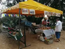 Regresa el mercado orgánico a la colina de San Antonio