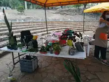Regresa el mercado orgánico a la colina de San Antonio