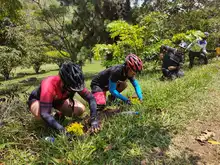 En el Día Mundial del Turismo, Pance tiene 3 mil árboles nuevos