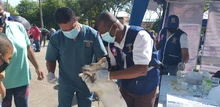 En Día mundial contra la rabia, hubo buena participación en jornada de salud animal 