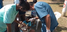 En Día mundial contra la rabia, hubo buena participación en jornada de salud animal 