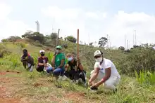 Juventud ‘guardiana de vida’ sembró, bailó y cantó en el cerro de Cristo Rey