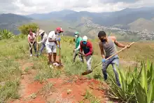 Juventud ‘guardiana de vida’ sembró, bailó y cantó en el cerro de Cristo Rey