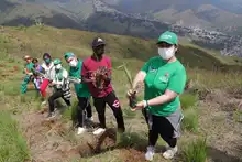 Juventud ‘guardiana de vida’ sembró, bailó y cantó en el cerro de Cristo Rey