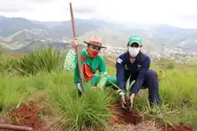 Juventud ‘guardiana de vida’ sembró, bailó y cantó en el cerro de Cristo Rey