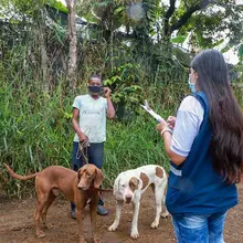 Cali, un territorio de ‘puro corazón’ por los Animales