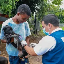Cali, un territorio de ‘puro corazón’ por los Animales