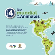 Cali, un territorio de ‘puro corazón’ por los Animales