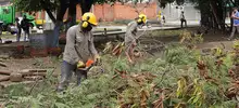 Jornada de limpieza, recuperación del espacio público y embellecimiento en Prados del Norte