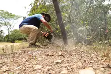 Recuperado predio en el cerro de Las Tres Cruces