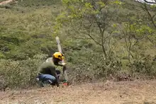 Recuperado predio en el cerro de Las Tres Cruces