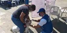 El Centro de Zoonosis previene y trabaja por mitigar las enfermedades