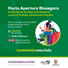 Modelo de alternancia en instituciones de educación superior en Cali